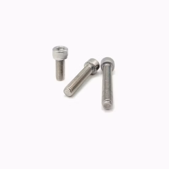Fábrica de China SS304 SS316 Sujetadores de acero inoxidable Varilla roscada / Perno y tuerca / Arandela / Anclaje / Aparejo / Pasador / Remache / Tornillo de cubierta / Tornillo de cabeza hueca hexagonal